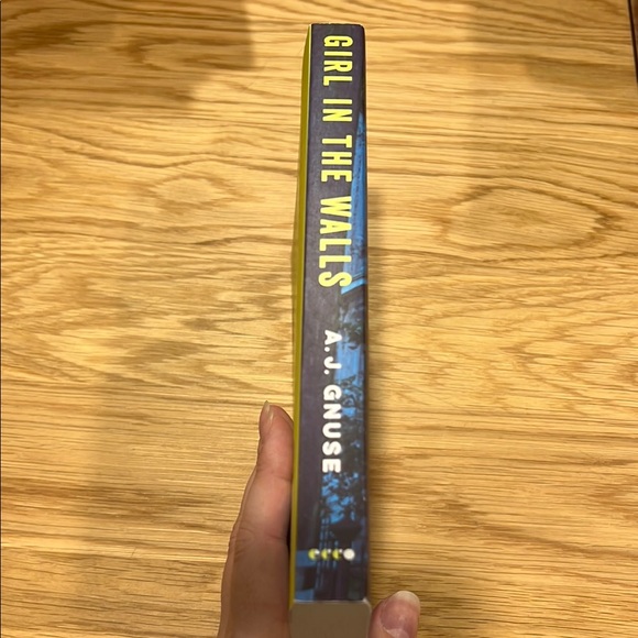 A.J. Gnuse 'Girl in the Walls' Novel - Picture 4 of 5